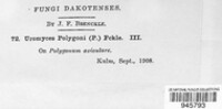 Uromyces polygoni-avicularis image